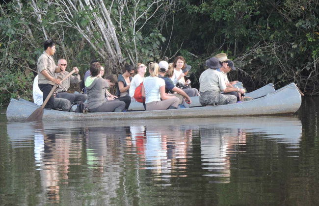Tambopata Parrot Clay Lick Tour: 6 Days - Photo 4