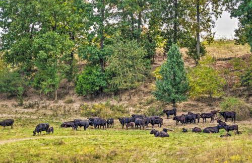 Mammoth Cave Cabin Rentals 4 - Foto 20