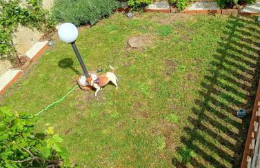 L'angolo delle More - Foto 25