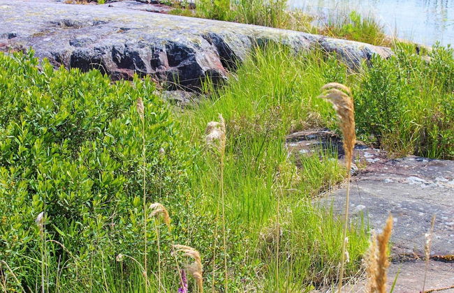 Scenic Lakeside Cottage-by Traum - Foto 11