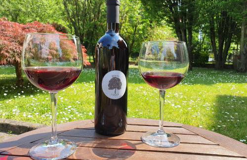 Apartment Flache Linde by Interhome - Foto 49