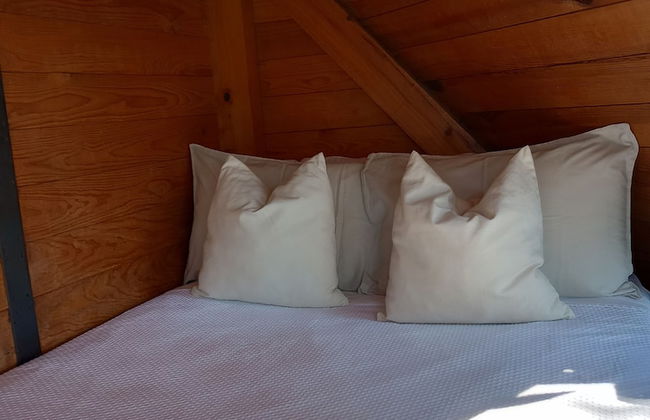 Bosque Geométrico - Foto 15