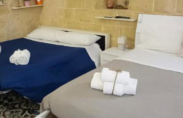 Le camelie - Foto 33