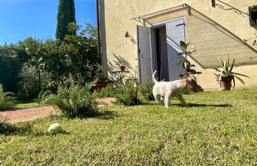 Angolo,di Chianti - Foto 19