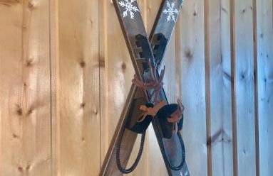 Charmant appartement avec départ et retour skis aux pieds - Photo 20