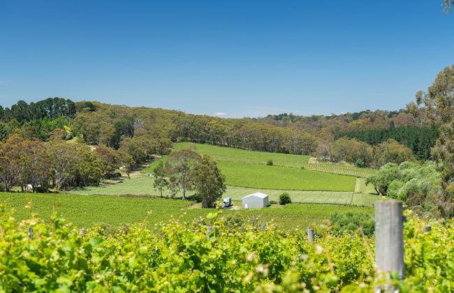 The Other House - Photo 27