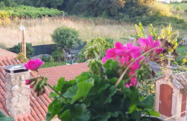 Adam Home Apartamentos - Foto 12