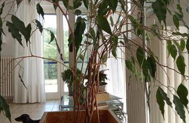 B&B Villa Verde - Foto 16