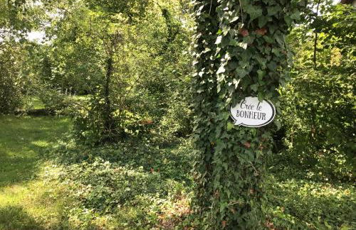 Les Murets du plateau - Foto 29