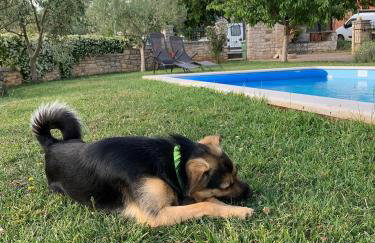 Apartments Leone - Photo 41