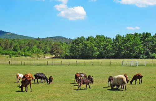 Apartment Laurier by Interhome - Foto 23