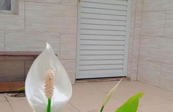 Recanto Dos Vargas - Seu refúgio em Floripa com atendimento dos anfitriões - Foto 25