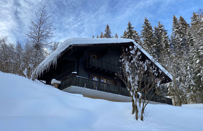 Chalet L'Aube - Foto 18