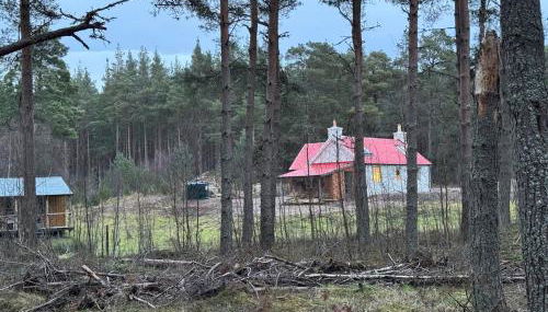 Cosy Highland Cottage in the Woods on Royal Deeside - Foto 2