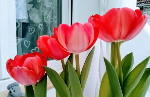 Ferienwohnungen wie im Süden Großostheim - Foto 79