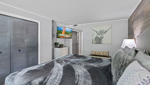 Modern 2br Condo in the Smokys! - Foto 5, Habitación