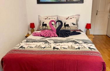 Le Studio Savoyard - Foto 41