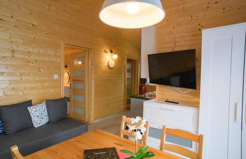 Domki Szarlota - atrakcje dla rodzin na Kaszubach - Foto 12