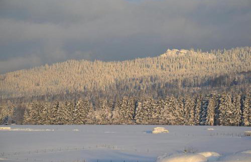 Hans-Girgl-Hof - Foto 73