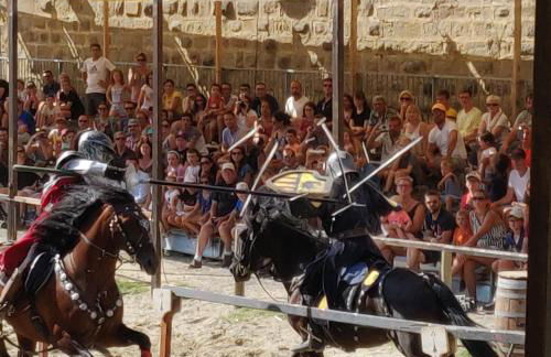 Appartement L'Oliveraie - La Cité plein les yeux - Foto 43