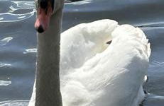 le temps d une pause - Foto 8