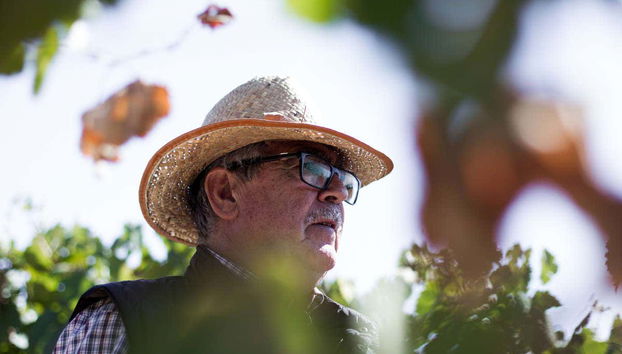 Dono da adega Pago de Tharsys nos vinhedos