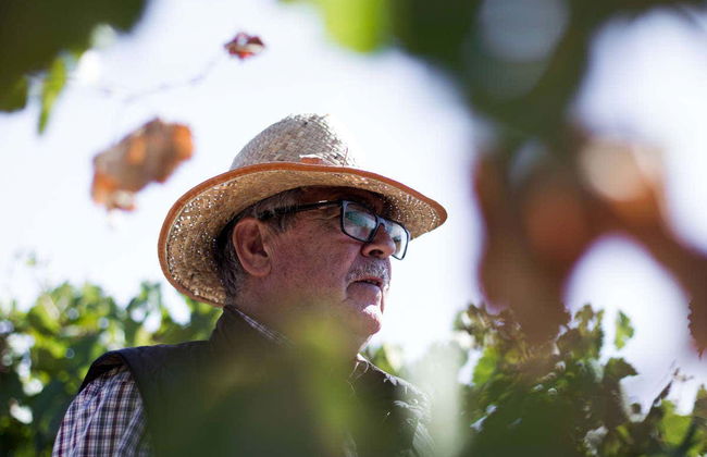 Visita à adega Pago de Tharsys - Photo 2