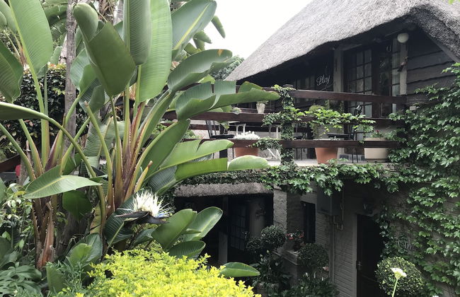 Waterhouse Guest Lodges 202 Lawley Street - Foto 57