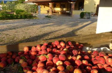 Agriturismo Fior di Maggio - Foto 13