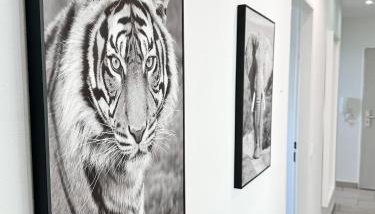 Moderne 3-Zimmer-Ferienwohnung bei Frankfurt - frisch renoviert, zentral gelegen und perfekt für Familien und Business-Trips - Foto 2