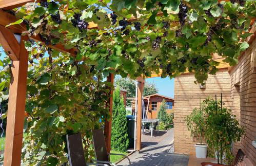 Ferienwohnung Waldbröl - nahe Naturerlebnispark - Foto 28