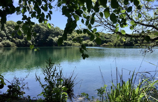 Tresowes Green Cottage - Foto 49