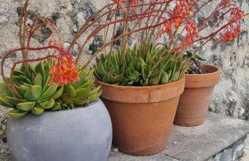 La Chaumière - Foto 38