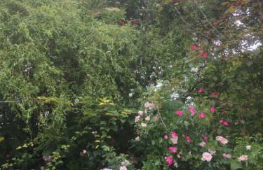 The Hideaway at Duffryn Mawr Self Catering Cottages - Photo 10