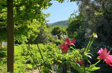 Quinta da Vinha Velha - Foto 74