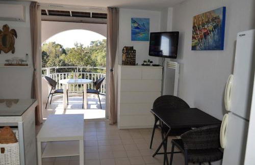 VUE MER- BEAU STUDIO - TERRASSE ABRITEE - Wi-Fi - CLIMATISATION - PARKING GRATUIT-Classé 3 étoiles - Foto 5