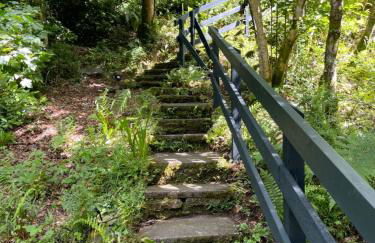 Cherrybrae Cottage - Photo 12