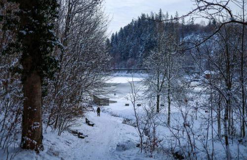 FeWo JoJo - Bergblick - Foto 24