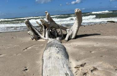 Apartament Szept Morza 2 - Foto 43