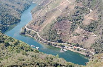 Ás Portas do Sil - En la Ribeira Sacra - Foto 38