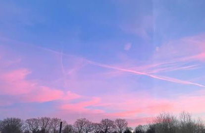 Reeds retreat - Foto 15