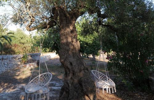 Trulli Donna Gina - Foto 16