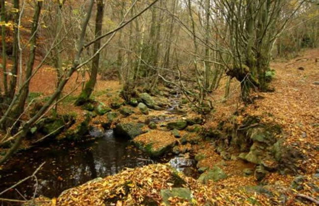 Scenic Cottage in Rahier - Photo 30