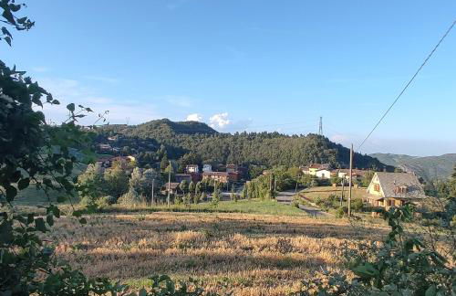 La Corte dei Celti La fonte - Foto 40