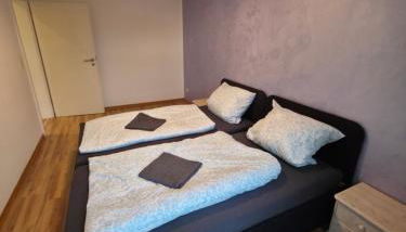 Ruhiges Apartment Leipziger Neuseenland, direkte S-Bahn Anbindung Leipzig sowie Messe - Foto 2