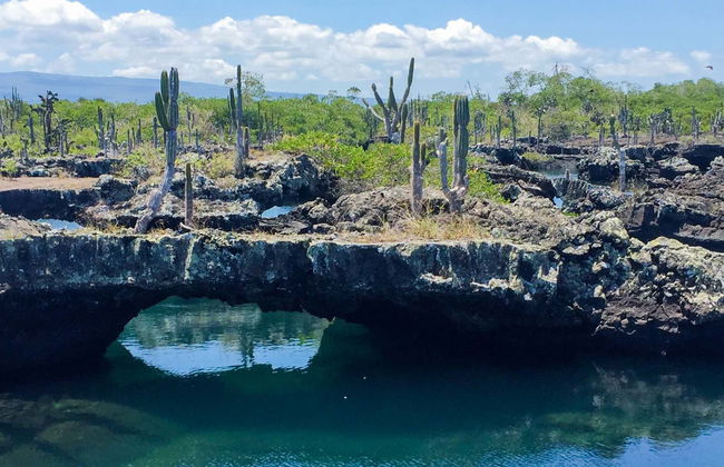 Isabela Island Tour - Photo 1