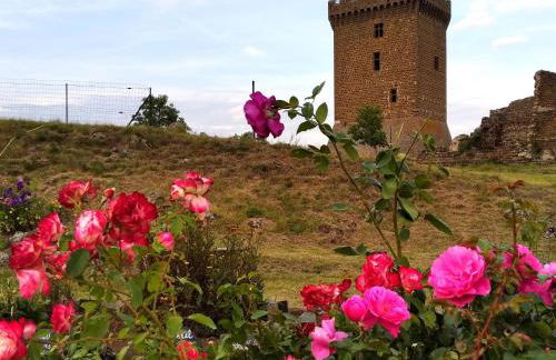 Évasion au cœur de Polignac : Charme et confort à deux pas du Puy-en-Velay - FR-1-582-382 - Foto 26
