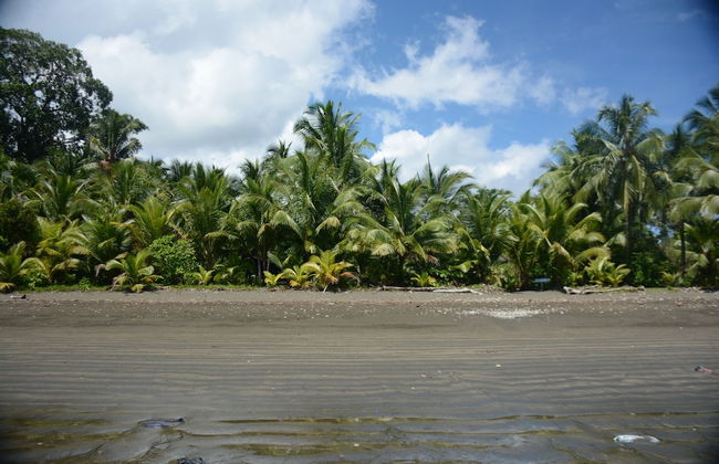 Casa Cielito - Photo 39