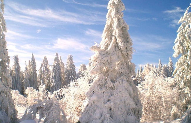 "nice Mountain View" - Foto 16