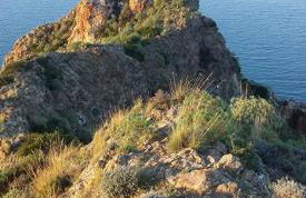 L'Ulivo in Villa Greco - Foto 68